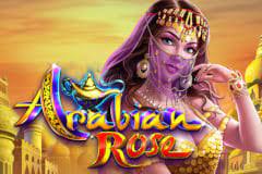 Arabian Rose Arabian Rose