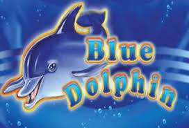 Blue Dolphin Blue Dolphin